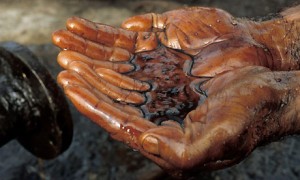 Promoting Corporate Accountability and Access to Remedy